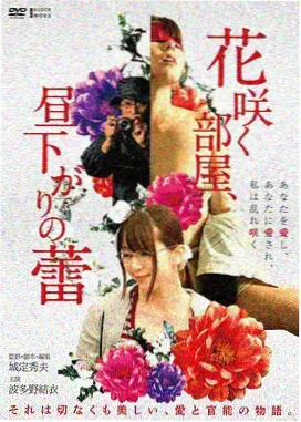 国产电影片单条目封面